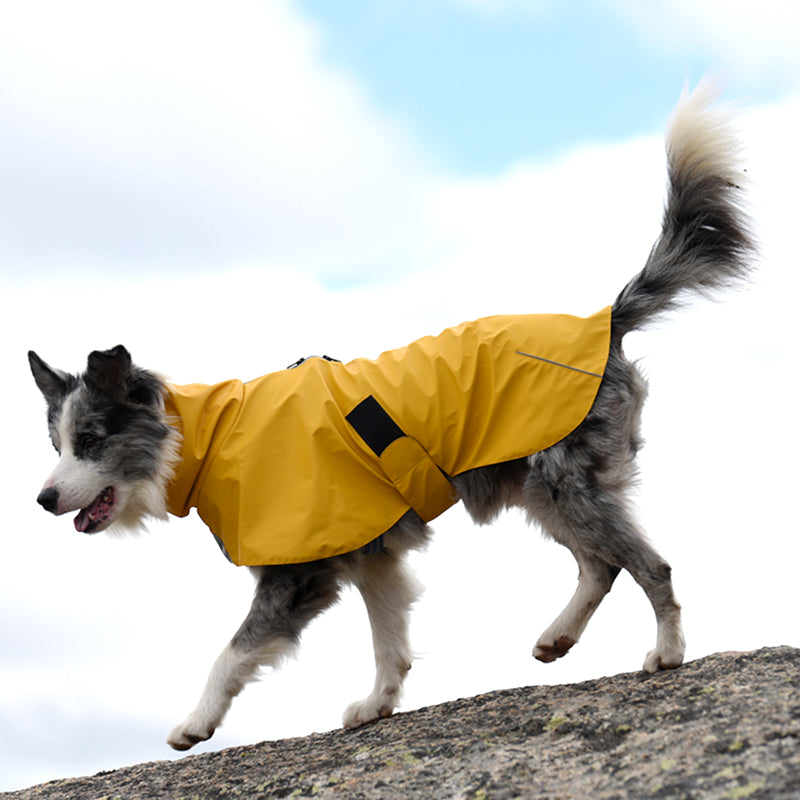 Stay Dry and Stylish with the Pet Shell Waterproof Windproof Raincoat